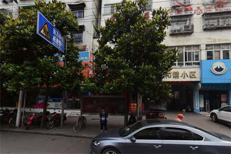 目送孩子出门进校羊山清华园旁博士名城137平大3房证齐